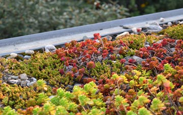 the cost of South Acton green roof installation