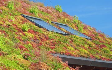 South Acton living roof systems